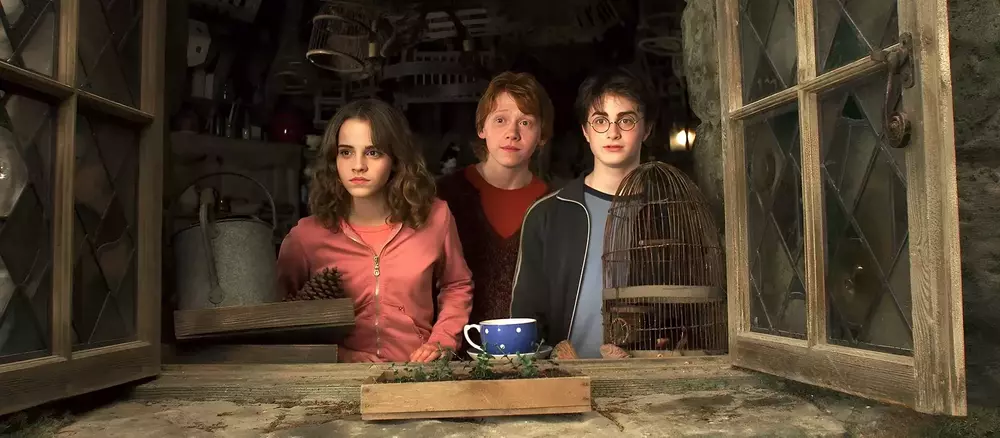 Test : Quel personnage de Harry Potter êtes-vous, Albus Dumbledore ou le Seigneur des Ténèbres ?